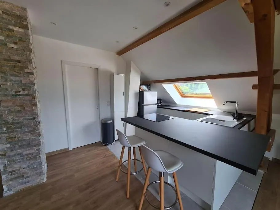 Apartment Appartement Douceur Entre Lac Et Montagnes Saint-Jorioz